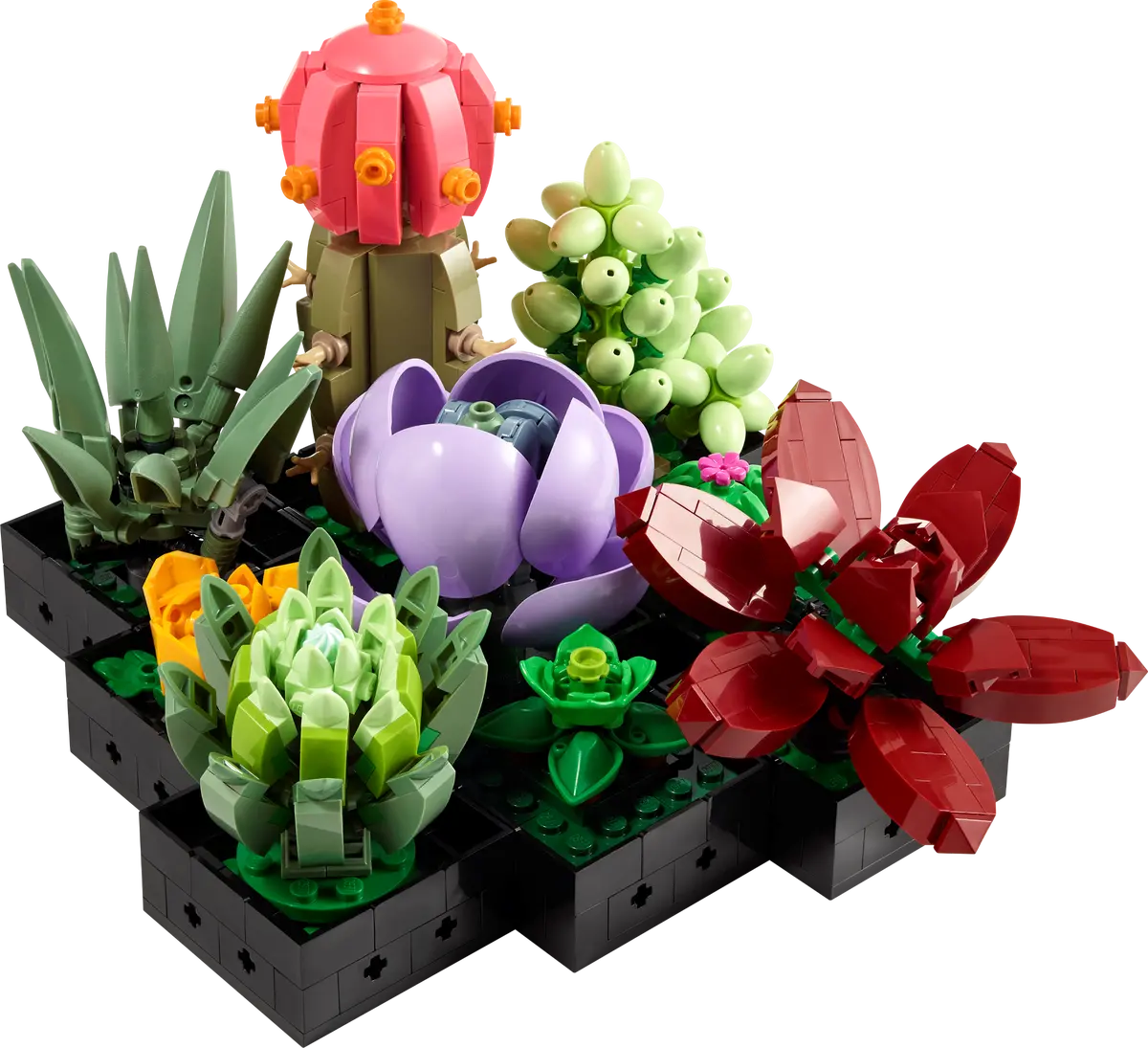 LEGO Creator Expert 10309 Botanical collections
