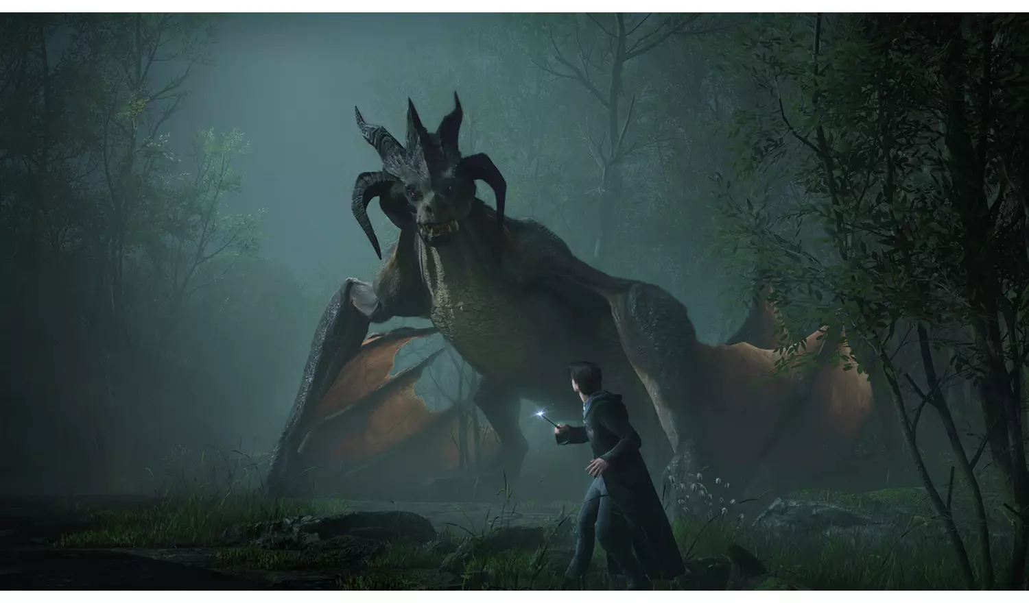 Hogwarts: Legacy (Switch) - Image 6